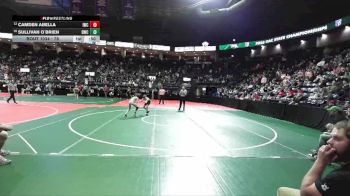 78 lbs Cons. Round 3 - Camden Abella, IWCA vs Sullivan O`Brien, DWC3