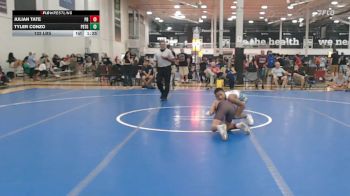 102 lbs Rr Rnd 2 - Julian Tate, Phillipsburg - HSC vs Tyler Conzo, Prestige Worldwide Blue - HSC