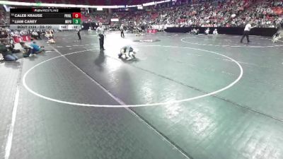 D3-120 lbs Cons. Round 1 - Caleb Krause, Princeton/Green Lake vs Liam Carey, Mineral Point