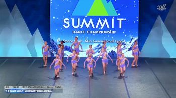 The Dance Vault - Mini Summit Small Lyrical [2026 Mini - Premier - Contemporary/Lyrical - Small Finals] 2026 The Dance Summit