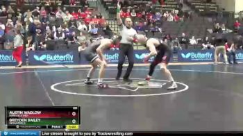 133 lbs Quarterfinal - Breyden Bailey, Indianapolis vs Austin Wadlow, Maryville (MO)