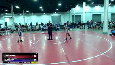 92 lbs Round 2 (8 Team) - Arav Pandey, Pennsylvania Blue vs Blake Binetti, New Jersey