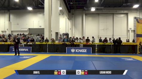 DOMINIC M. vs WILLIAM J. 2025 World IBJJF Jiu-Jitsu No-Gi Championship