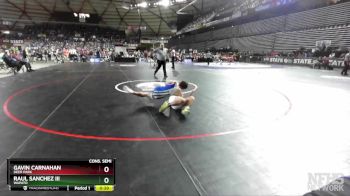 1A 132 lbs Cons. Semi - Gavin Carnahan, Deer Park vs Raul Sanchez III, Wapato