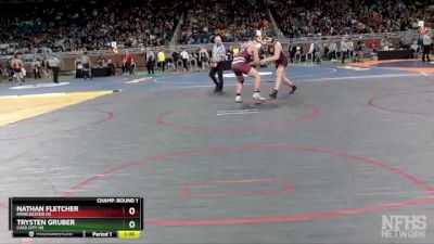 D4-215 lbs Champ. Round 1 - Trysten Gruber, Cass City HS vs Nathan Fletcher, Manchester HS