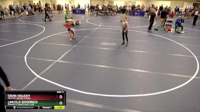 92 lbs Cons. Round 2 - Tavin Holicky, Tri-City United Titans vs Lincoln Goodrich, Pinnacle Wrestling Club