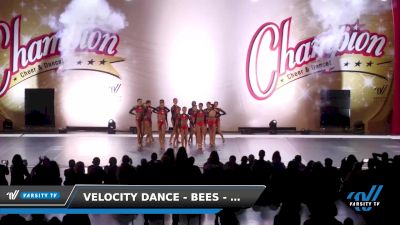 Velocity Dance - Bees - Heartburn [2023 Youth - Jazz 1/28/2023] 2023 CCD Champion Cheer and Dance Grand Nationals