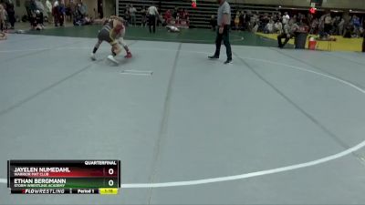 110 lbs Quarterfinal - Ethan Bergmann, Storm Wrestling Academy vs Jayelen Numedahl, Warrior Mat Club