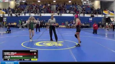 110 lbs Semifinal - Chloe Dearwester, HARRISON vs Kasey Wells, DELAWARE HAYES