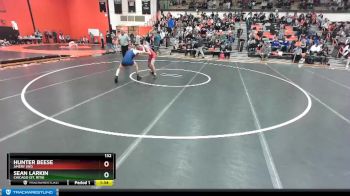 132 lbs Champ. Round 2 - Sean Larkin, Chicago (ST. RITA) vs Hunter Beese, AMERY (WI)