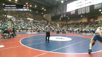 5A 120 lbs Semifinal - Shade Harrell, Beebe vs Kayden Looney, Mountain Home