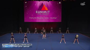 Clarksville Elite Cheer Center - Amethyst [2026 L3 Junior - Flex - D2 - Small - B Wild Card] 2026 The D2 Summit