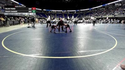 80 lbs Consy 4 - Talan Pabis, North Allegheny vs Trapp Farber, Northwestern Lehigh