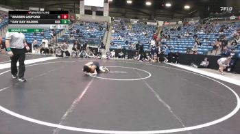 125 lbs Quarterfinal - Braden Ledford, Friends University vs Ray Ray Harris, Doane University