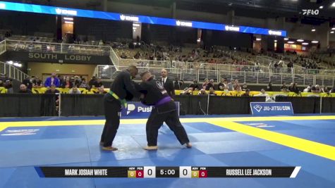 Russell Lee Jackson vs Mark Josiah White 2025 Pan Jiu Jitsu IBJJF Championship