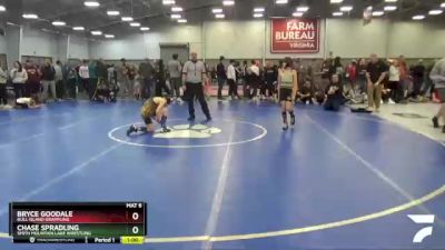 92 lbs Cons. Round 4 - Chase Spradling, Smith Mountain Lake Wrestling vs Bryce Goodale, Bull Island Grappling