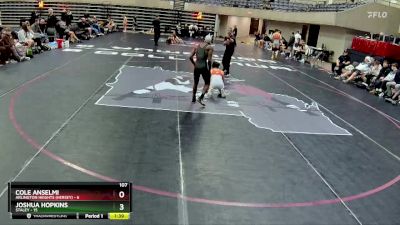 107 lbs Round 2 (4 Team) - Cole Anselmi, Arlington Heights (Hersey) vs Joshua Hopkins, Staley