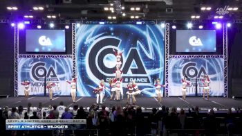 Spirit Athletics - Wildcats [2026 L6 Limited Coed - Small Day 2] 2026 COA Grand Nationals