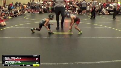 60 lbs Round 2 (4 Team) - Gavin Petraglia, SVRWC Gold vs Cameron Ganiel, Upper Twp W/C