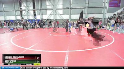 88 lbs Cons. Round 4 - Colt Jared, Lewiston WC vs Kenichi Dominguez, Team Aggression WC