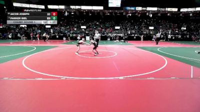 90 lbs Champ. Round 1 - Parker Biel, NBHA vs Jacob Joseph, LH1