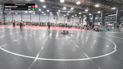 84 lbs Round 4 - 2:15pm Saturday - Koa Cu, West Coast Elite vs Brennan Hart, Team Michigan