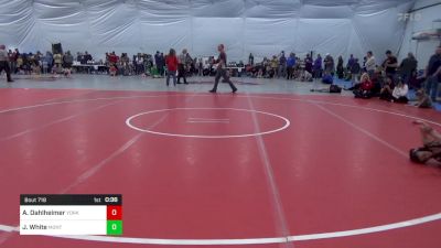 62 lbs Semifinal - Aiden Dahlheimer, York vs Jordan White, Montgomery