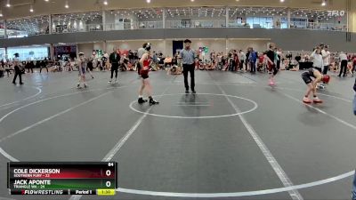 84 lbs Round 3 (6 Team) - Jack Aponte, Triangle WA vs Cole Dickerson, Southern Fury