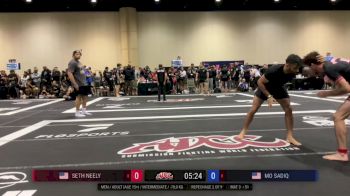 Seth Neely vs Mo Sadiq 2024 ADCC Orlando Open at the USA Fit Games