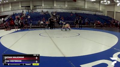 126 lbs Champ. Round 1 - Nathan Walkowiak, MI vs Zyan Westbrook, IL