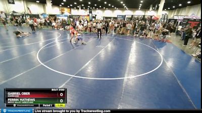 144 lbs Quarterfinal - Gabriel Ober, Hurricane vs Ferrin Mathews, Bryce Valley Wrestling