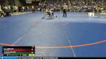 145 lbs Quarterfinal - L.J. Araujo, Bismarck vs Ethan Miller, Valley City