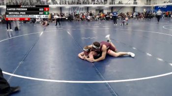 Silver 133 lbs Cons. Round 4 - Mitchell Pins, Wartburg vs Carter Freeman, Augsburg College