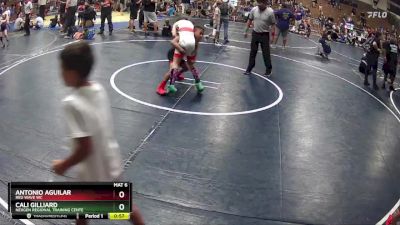 80 lbs Semifinal - Antonio Aguilar, RED WAVE WC vs Cali Gilliard, Nexgen Regional Training Cente