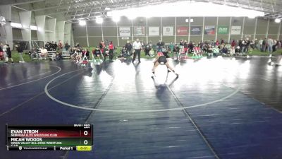 106 lbs Cons. Round 4 - Evan Strom, Nebraska Elite Wrestling Club vs Micah Woods, Virgin Valley Bulldogs Wrestling Club