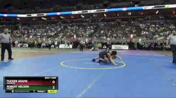 5th Place Match - Robert Nelson, Minden vs Tucker Adams, Hastings
