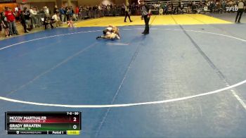 80 lbs 3rd Place Match - Grady Braaten, Minnewaska vs McCoy Marthaler, Marshall/Lakeview/RTR