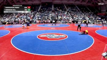 3A-106 lbs Quarterfinal - Dontavious Perry, Stone Mountain vs Emerson Hill, Troup