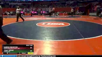 1A 113 lbs 3rd Place Match - Aaron Niemeyer, Wood River (East Alton - Wr) vs Tony Keene, Harrisburg