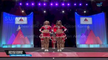Cheer-riffic Techniques - Falcon Karma [2025 L4 Senior Coed - Small Prelims] 2025 The D2 Summit