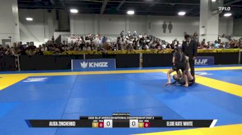 Alisa Zinchenko vs Elsie Kate White 2026 American National IBJJF Jiu-Jitsu Championship