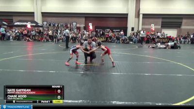 44 lbs Round 1 - Nate Gaffigan, Dehart Wrestling Academy vs Chase Hood, Team Palmetto