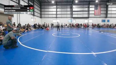 90 lbs Round 5 (6 Team) - Cole Littman, GREAT NECK WRESTLING CLUB GOLD vs Mitchell Gonzales, NC LEGEND