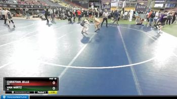 126 lbs Quarterfinal - Van Wirtz, MI vs Christian Jelle, MN