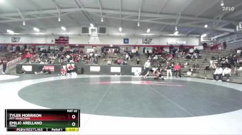 174 lbs 7th Place Match - Tyler Morrison, Pitt-Johnstown vs Emilio Arellano, Tiffin
