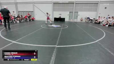 138 lbs Placement Matches (8 Team) - Chase Creque, Tennessee vs Brayden Forman, Louisiana Red