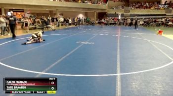 80 lbs Cons. Round 2 - Caleb Matiash, PEM (Plainview/Elgin/Millville) vs Tate Braaten, Minnewaska