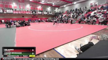 157 lbs Quarterfinal - Tre Haines, Arlington vs Conner Brosnahan, Moses Lake