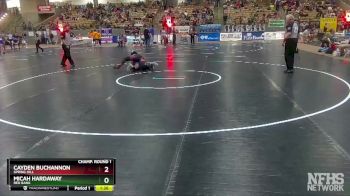 A 220 lbs Champ. Round 1 - Cayden Buchannon, Spring Hill vs Micah Hardaway, Red Bank