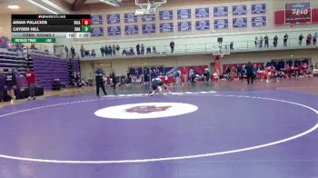 133 lbs Cons. Round 2 - Adian Palacios, Simpson (Calif.) vs Cayden Hill, Unattached